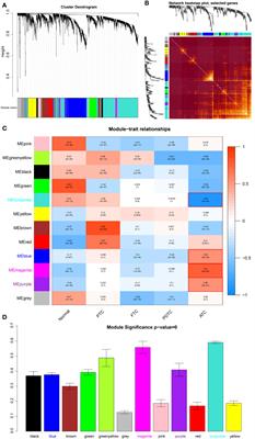 Weighted gene co-expression network reveals driver genes contributing to phenotypes of anaplastic thyroid carcinoma and immune checkpoint identification for therapeutic targets
